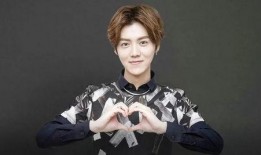 思聪爆料鹿晗视频大全最新,思聪爆料引发网友热议，精彩瞬间大盘点