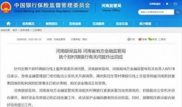 河南车险最新爆料信息,揭秘价格调整与理赔新规！