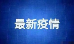 重庆太阳最新爆料新闻,最新爆料新闻深度解析